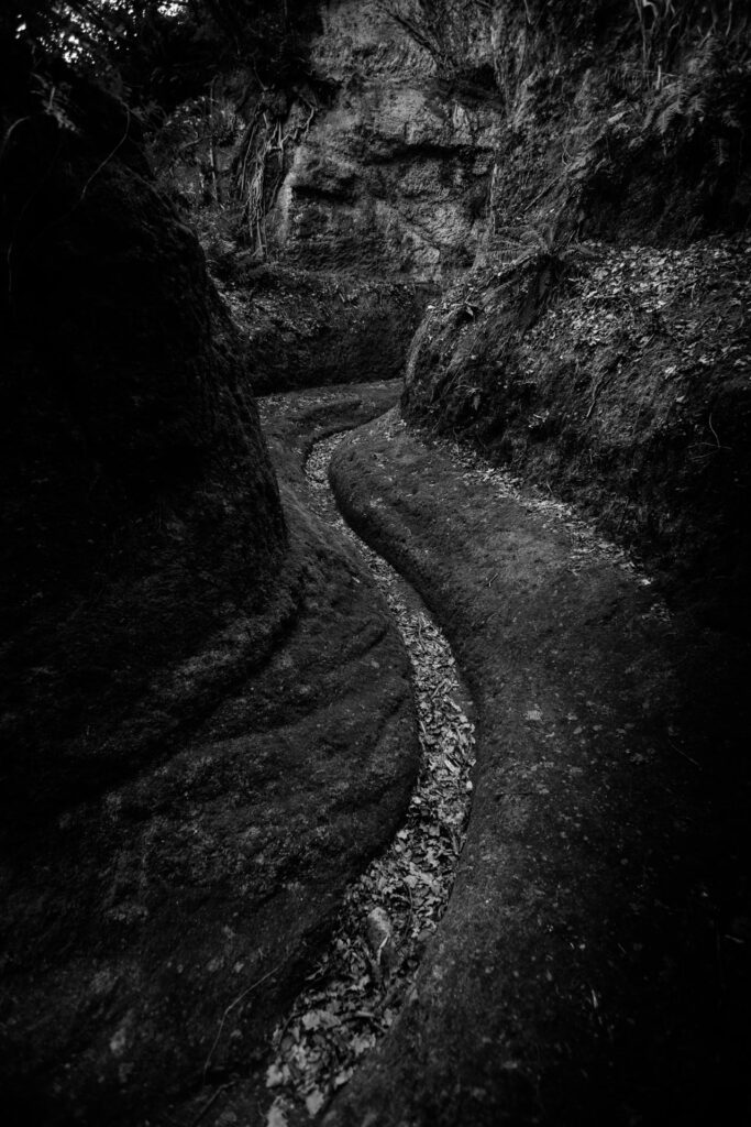 maremma selvaggia wild 12 Libro fotografico "MAREMMA SELVAGGIA" 30x45 cm buono regalo fotolibro fotografico buono regalo fotolibro fotografico