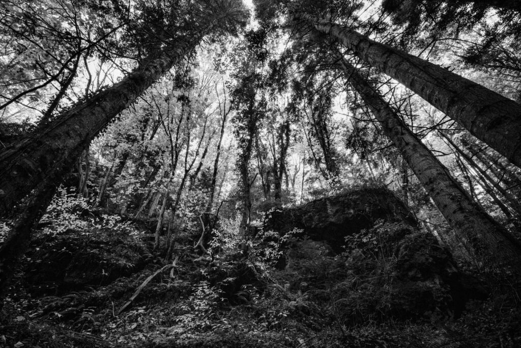 maremma selvaggia wild 18 Libro fotografico "MAREMMA SELVAGGIA" 30x45 cm buono regalo fotolibro fotografico buono regalo fotolibro fotografico