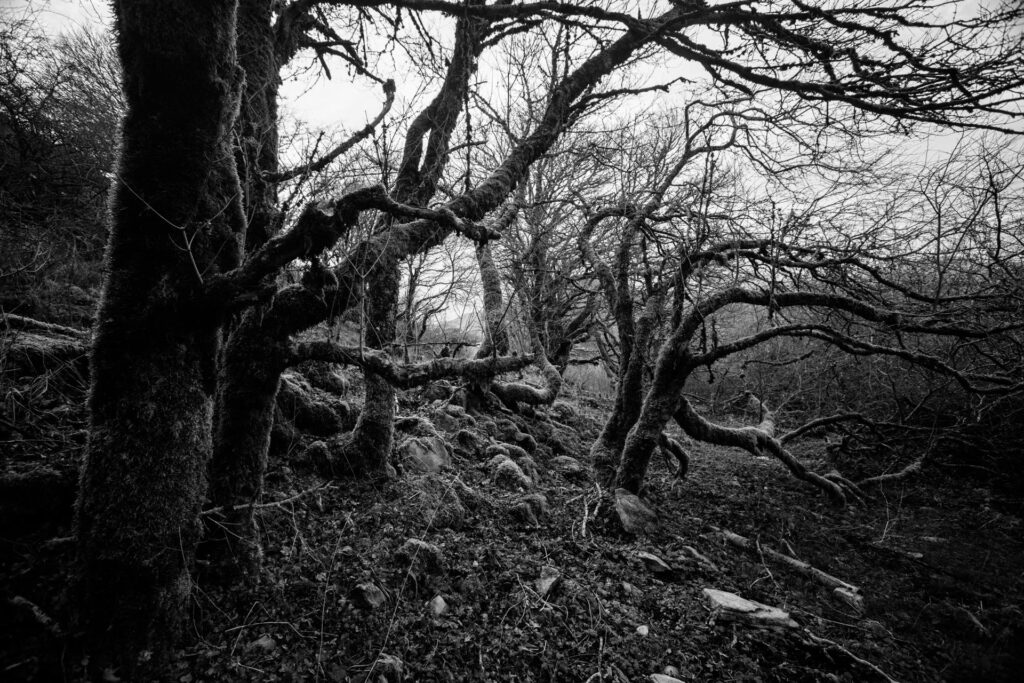 maremma selvaggia wild 3 Libro fotografico "MAREMMA SELVAGGIA" 30x45 cm buono regalo fotolibro fotografico buono regalo fotolibro fotografico