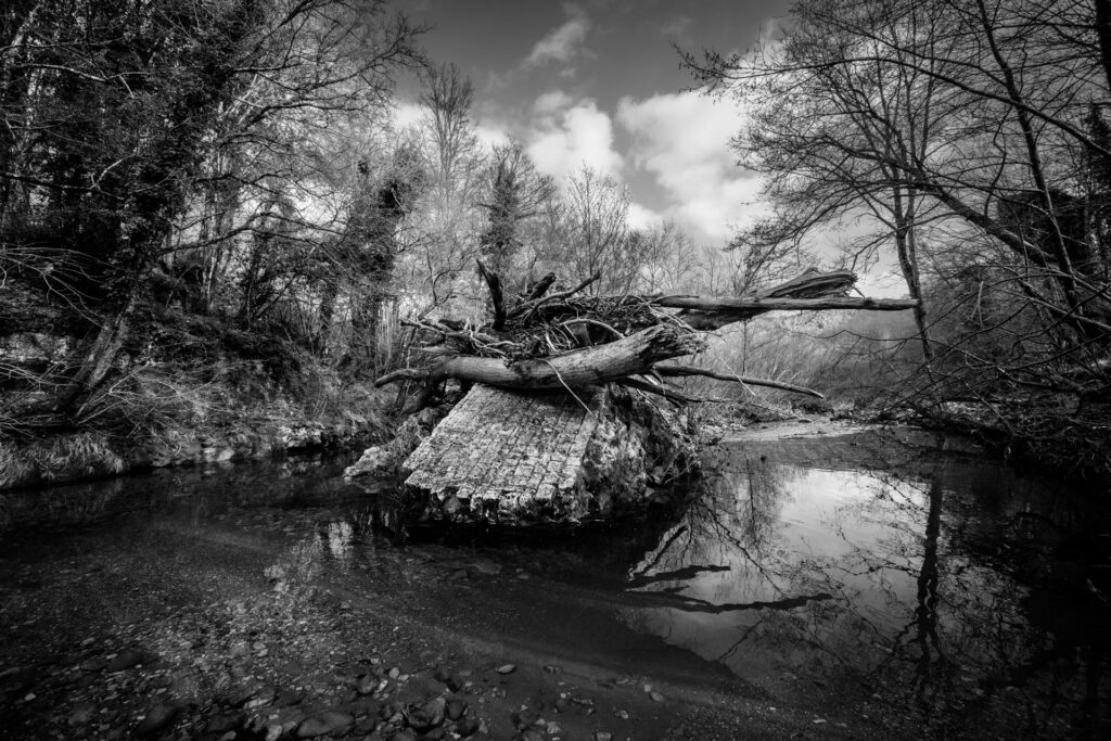 maremma selvaggia wild 7 Libro fotografico "MAREMMA SELVAGGIA" 30x45 cm buono regalo fotolibro fotografico buono regalo fotolibro fotografico