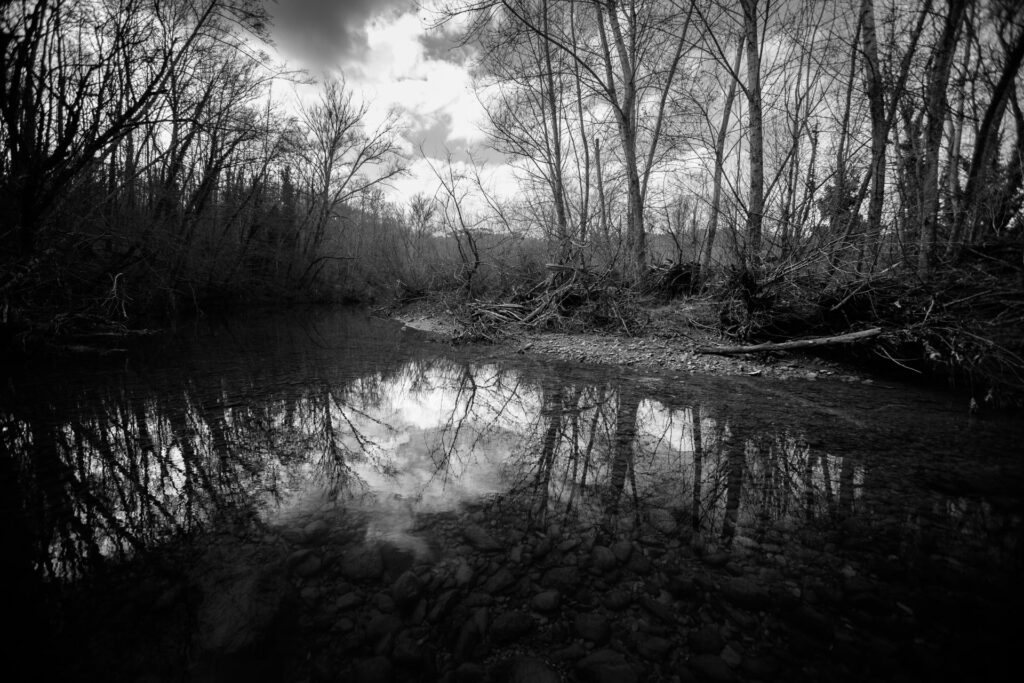 maremma selvaggia wild 9 Libro fotografico "MAREMMA SELVAGGIA" 30x45 cm buono regalo fotolibro fotografico buono regalo fotolibro fotografico